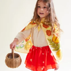 Sarah's Silks Seek & Find Playsilks-Mushroom Seek & Find Playsilk