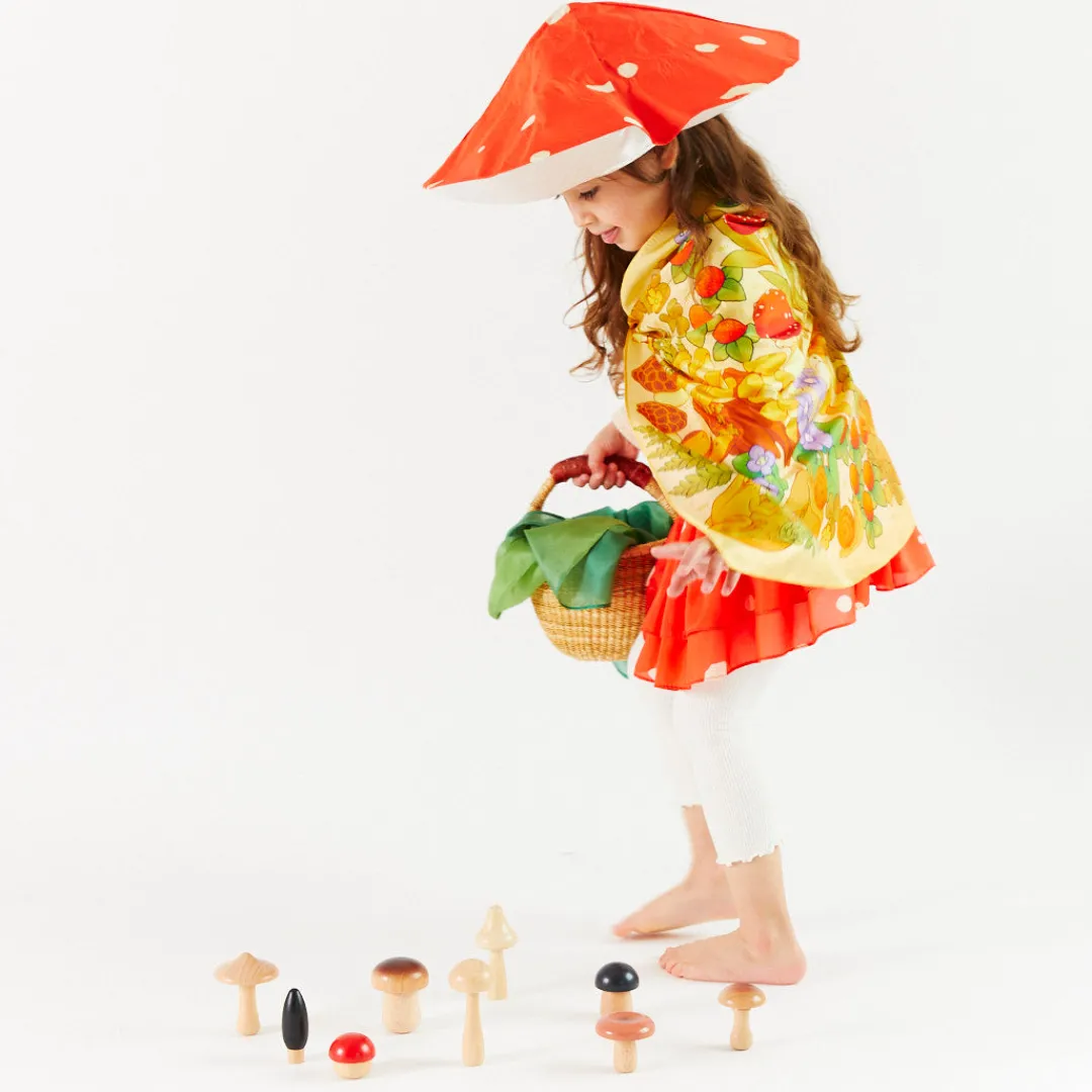 Sarah's Silks Seek & Find Playsilks-Mushroom Seek & Find Playsilk