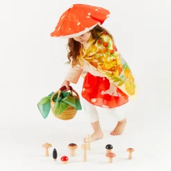 Sarah's Silks Seek & Find Playsilks-Mushroom Seek & Find Playsilk