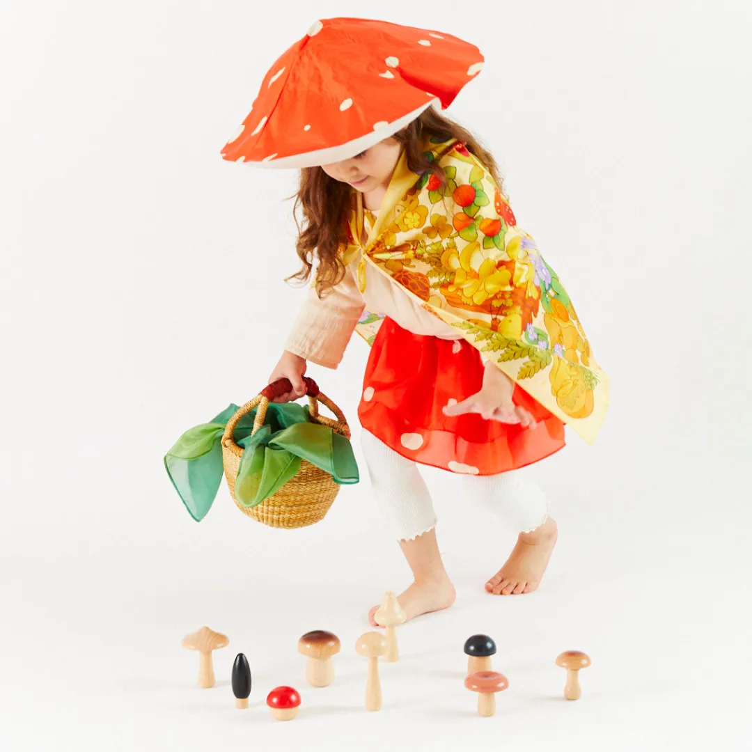 Sarah's Silks Seek & Find Playsilks-Mushroom Seek & Find Playsilk