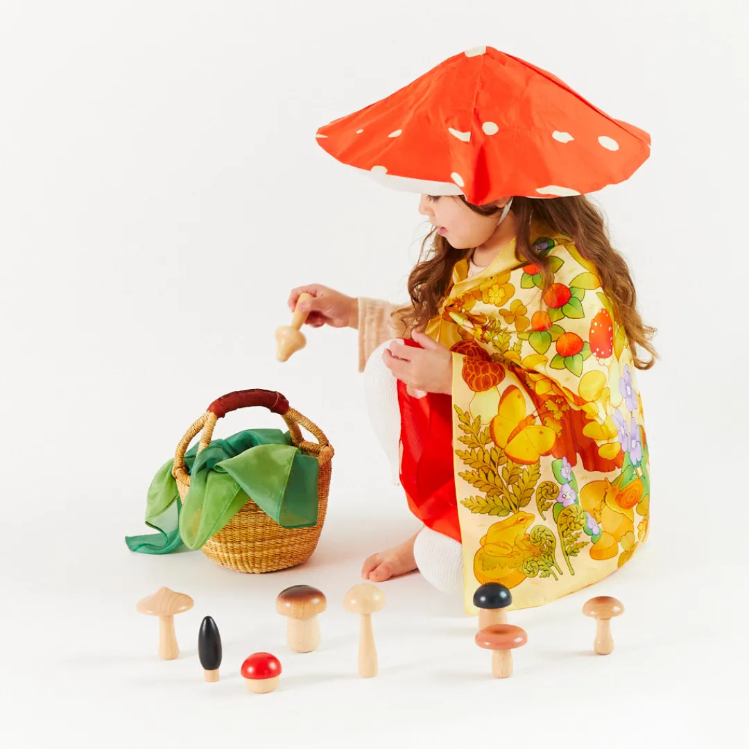 Sarah's Silks Seek & Find Playsilks-Mushroom Seek & Find Playsilk