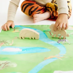 Sarah's Silks Mini Playsilks|Playmaps-Safari Playmap